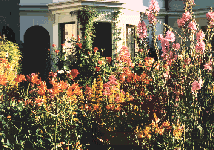 summer in York Road, Royal Tunbridge Wells - click for enlargement