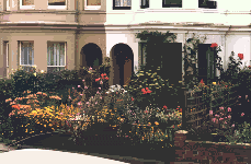 summer in York Road, Royal Tunbridge Wells - click for enlargement