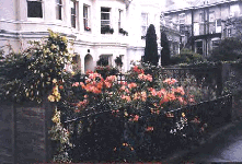 summer in York Road, Royal Tunbridge Wells - click for enlargement