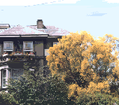 summer in York Road, Royal Tunbridge Wells - click for enlargement